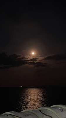 IMG_0831.HEIC