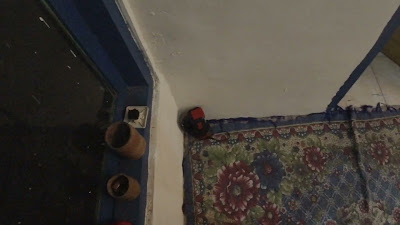 OK_DJI_0461.MOV
