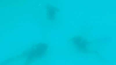 GX017889.MP4
