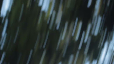 MVI_6495.MOV