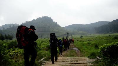 DSC_0245.MOV