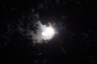 IMG_1619.JPG