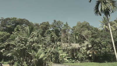 00037.MTS