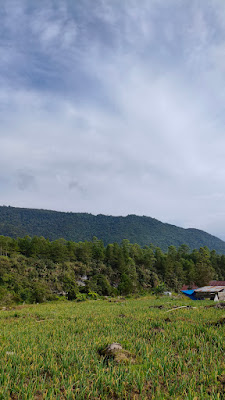 MVIMG_20250722_084004.jpg