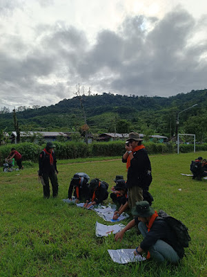 IMG_20241215_073816.jpg