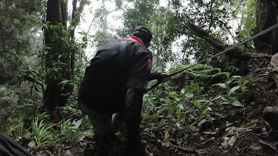 DJI_0121_001.MP4
