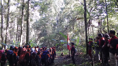 DSCN3887.MOV