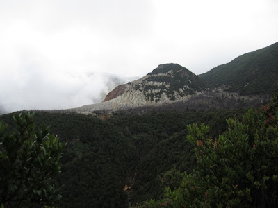 IMG_0043.JPG