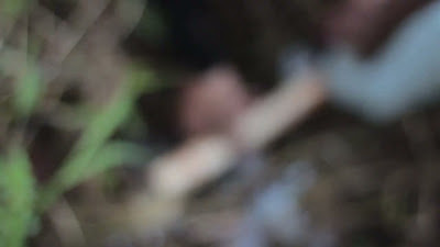 MVI_6534.MOV