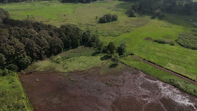 DJI_20260125103127_0179_D.MP4