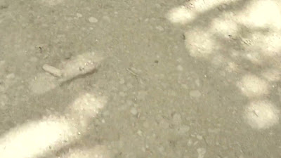 00063.MTS