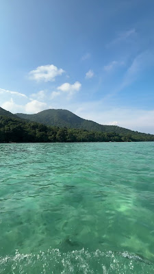 IMG_5009.MOV