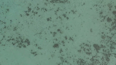 DJI_20250511064501_0036_D.MP4