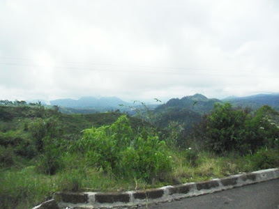 SAM_0664.JPG