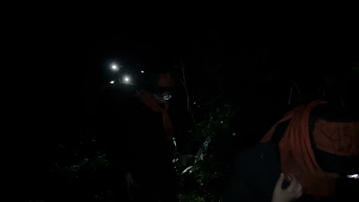 IMG_0194.MOV