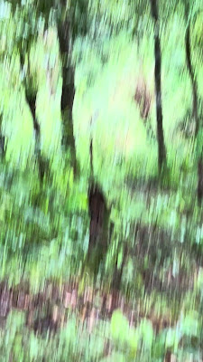 IMG_9122.MOV
