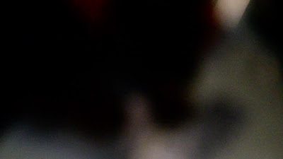 DSC_0010.MOV