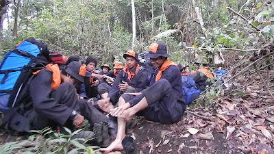 DSCN3930.MOV