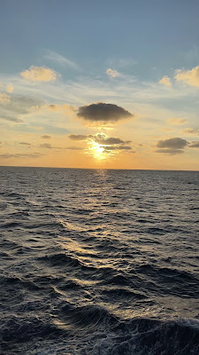 IMG_4635.MOV