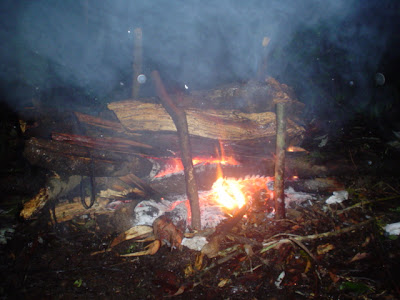 DSC00254.JPG