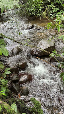 IMG_2465.MOV
