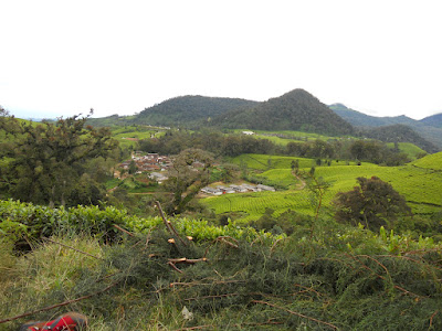 DSCN1398.JPG