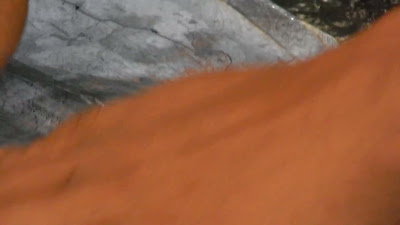 DSCN3951.MOV