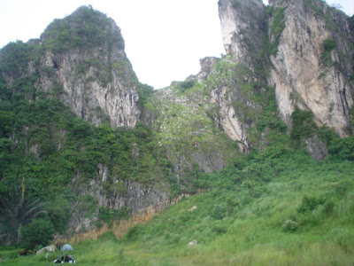 Copy of DSC00413.JPG