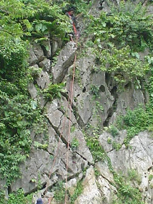 DSC00417.JPG