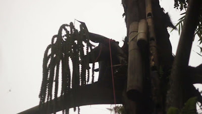 MVI_0491.MOV