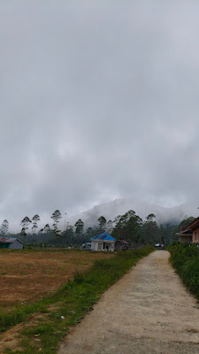 MVIMG_20250722_073713.jpg