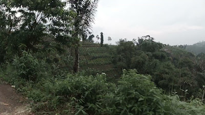 DJI_0448.MOV