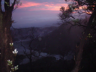 DSC02085.JPG