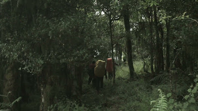 00204.MTS