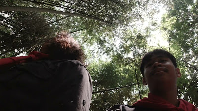 DJI_0503.MOV
