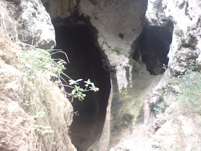 DSC00101.jpg
