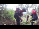 GOPR9736.THM