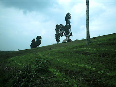 Survey PenDas KF Gunung Hutan - 053.jpg