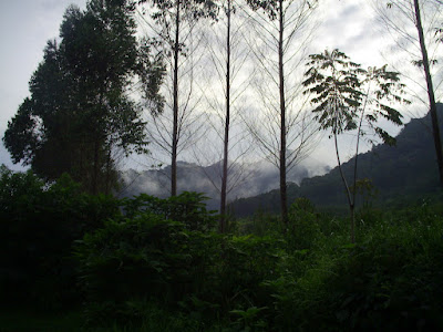 S3020117.JPG