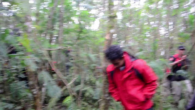 DSC_0164.MOV