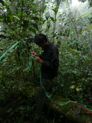 P1040692.JPG