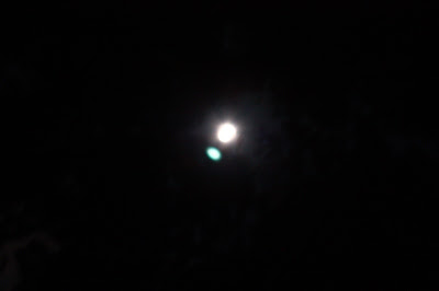 IMG_1629.JPG