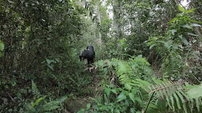 DJI_0085_001.MP4