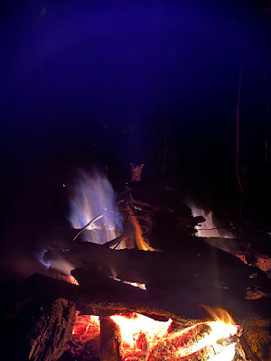 IMG_2184.JPG