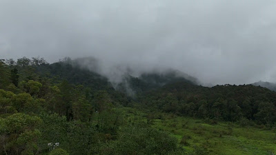 DJI_20260125082154_0178_D.MP4