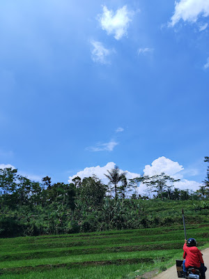 Copy of IMG_20241117_112358.jpg