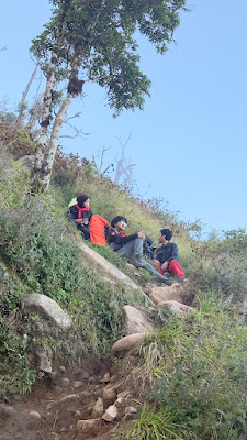 IMG_4193.DNG