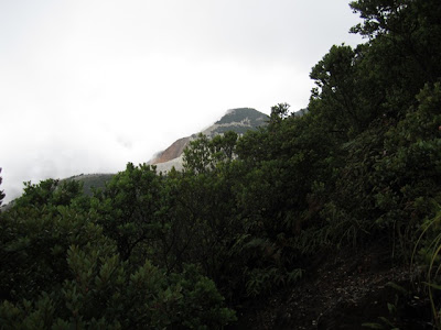 IMG_0041.JPG