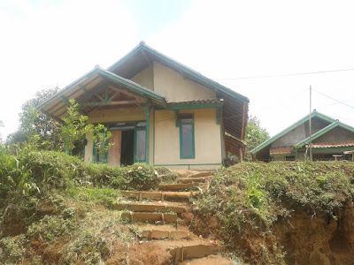 2012-11-15 11.48.47.jpg