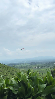 IMG_1265.MOV